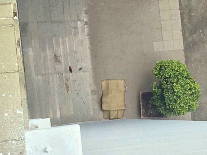 28660688_379003922509661_1282308392977927048_n