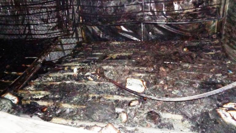 26234734_1803362839735979_459318169_n