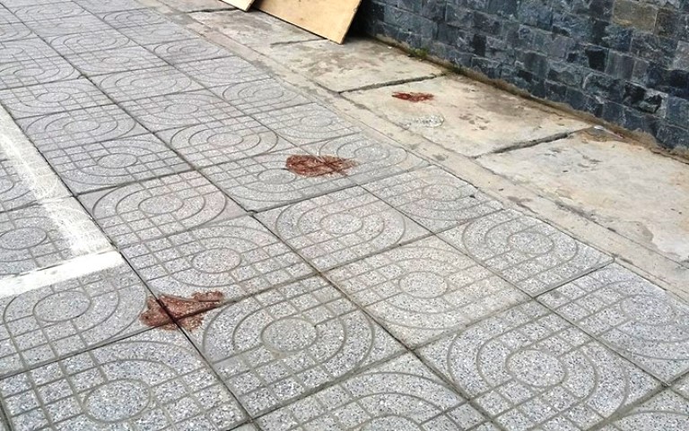 35870788_1794716133927860_1908327658366697472_n