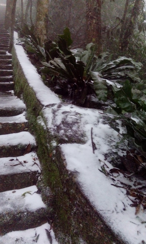 12565615_599256366890269_377541536829491633_n