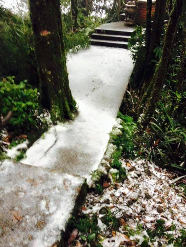 12573729_861935907260483_2967632006096753351_n