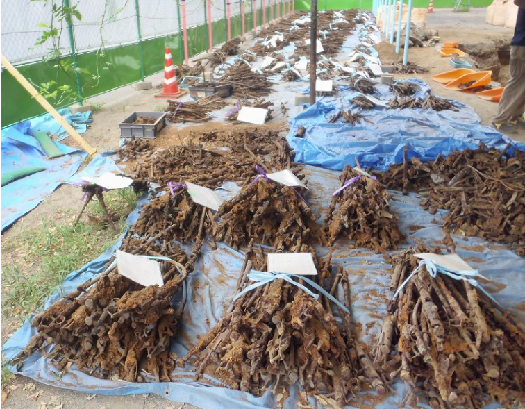 Ảnh chụp M&agrave;n h&igrave;nh 2018-08-07 l&uacute;c 10.15.21