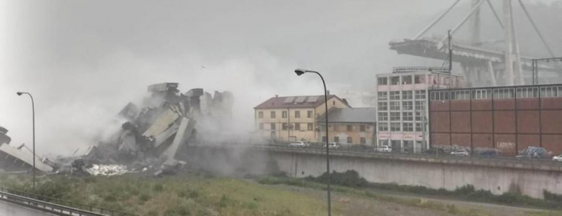 NINTCHDBPICT000426624132