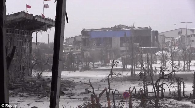 C&acirc;y cối trơ trụi, cảnh vật hoang t&agrave;n từ b&ecirc;n trong 