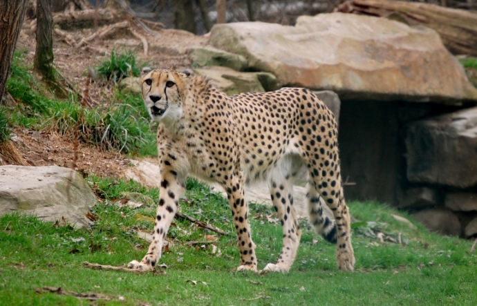 Bố mẹ một ch&aacute;u b&eacute; bị kiện v&igrave; thả con v&agrave;o chuồng nh