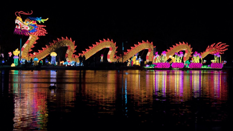 Đèn lồng hình rồng khổng lồ sáng rực 