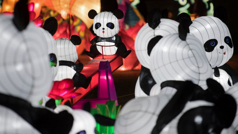 Đèn lồng hình gấu trúc sinh động