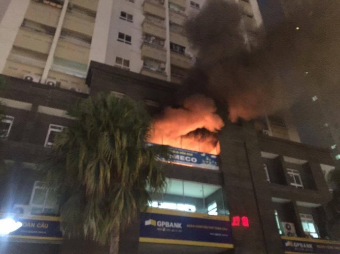 ch&aacute;y mầm non 1