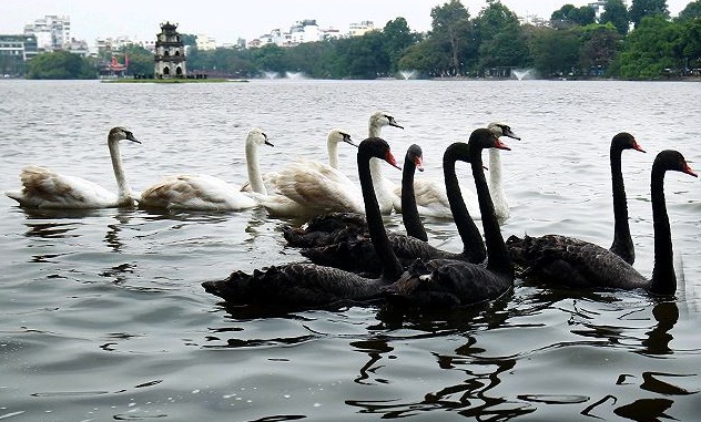 thi&ecirc;n nga H&agrave; Nội