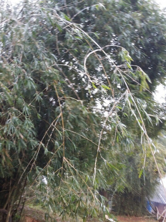 Thanh-H&oacute;a-Xuất-hiện-băng-tuyết.jpg1