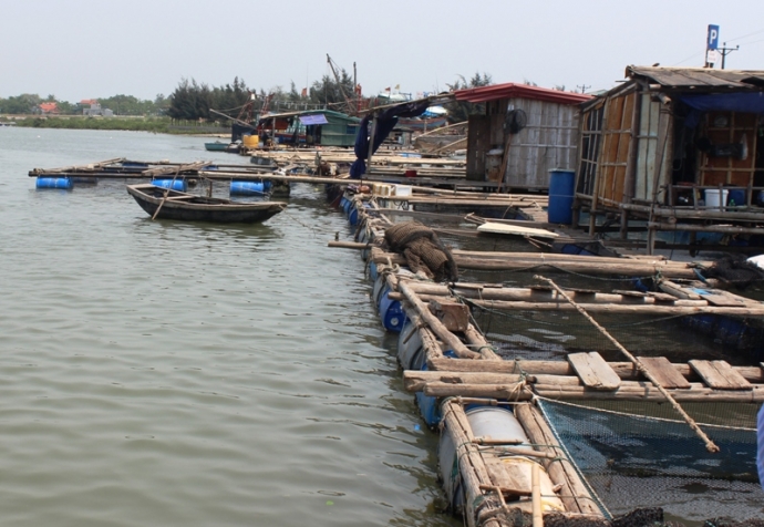 Lại- xuất- hiện- c&aacute;- chết- ở- cửa- s&ocirc;ng- ra- biển.