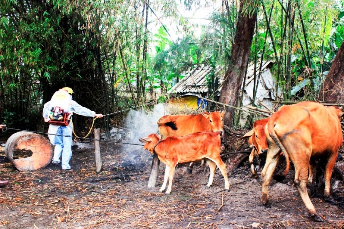Xuấ-t hiện- dịch- lở- mồm- long- móng- ở- Thanh- H