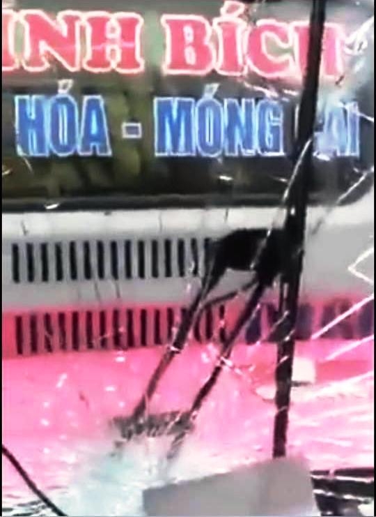 L&agrave;m -r&otilde;- h&agrave;nh- vi- va- chạm- giao- th&ocirc;ng- giữa- ha