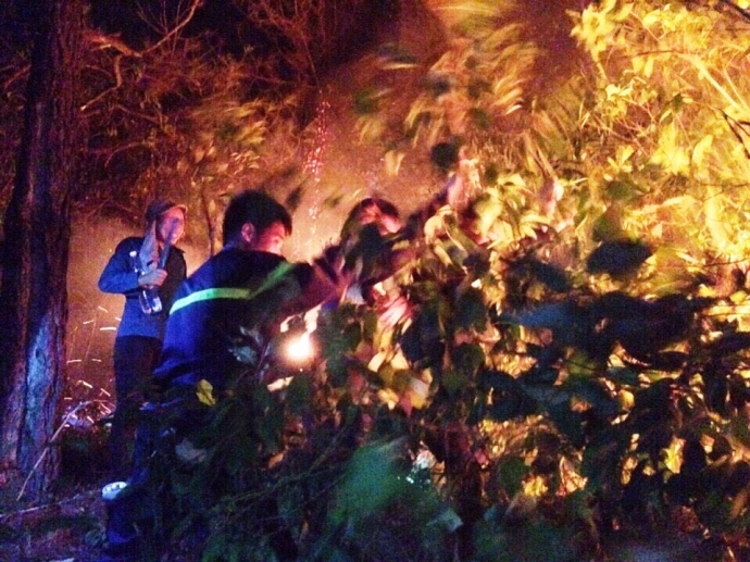 H&agrave;ng- chục- hecta- rừng- th&ocirc;ng- bị- thi&ecirc;u- rụi.jpg