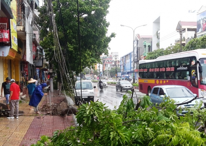 Ninh- B&igrave;nh- mất- điện- tr&ecirc;n- diện- rộng- do- ảnh- 