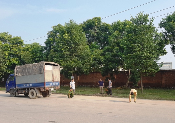 Khám- nghiệm- xe- tải- nghi- vấn- mất- phanh- gây-