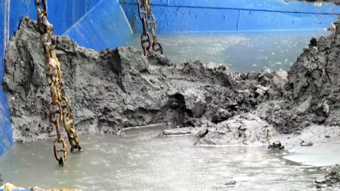 tin-moi-xả-thả-ra-biển