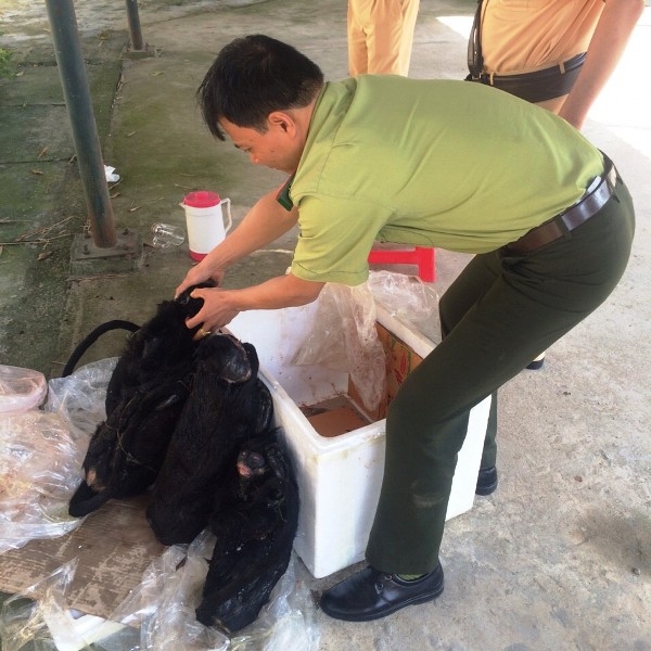 Bắt- quả- tang- xe- kh&aacute;ch- vậ-n chuyể-n 4- c&aacute;- thể