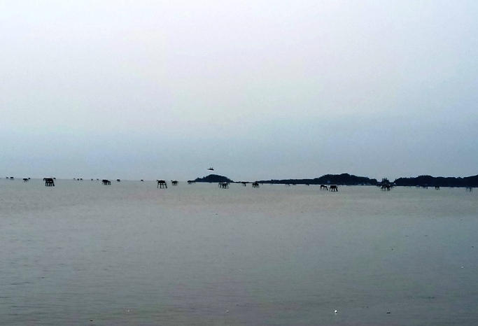 Ph&aacute; -hiện- x&aacute;c- m&ocirc;t- người- đ&agrave;n- &ocirc;ng -tr&ocirc;i- dạt- v