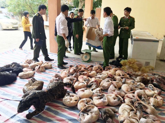 bắt-đối-tượng-chuy&ecirc;n-thu-gom-động-vật-hoang-d&atilde;