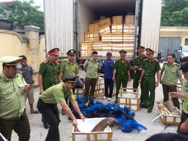 Bắt- giữ -xe -tải- chở- hơn -122kg- t&ecirc; -t&ecirc; -tr&ecirc;n -