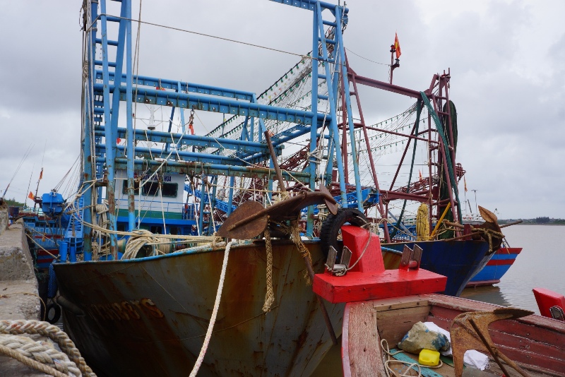 Thanh -H&oacute;a- Ngư- d&acirc;n -kh&oacute;c -r&ograve;ng- v&igrave; -t&agrave;u- vỏ -th&eacute;