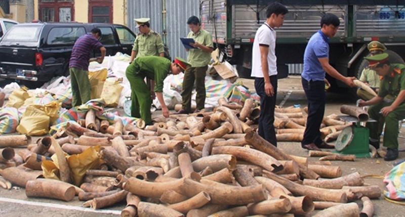 Bắt- xe- tải -chở 2,7 tấn- ng&agrave; -voi (2)