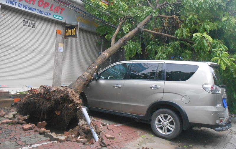 b&atilde;o số 2 (1)