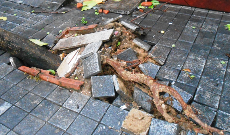 b&atilde;o số 2 (6)