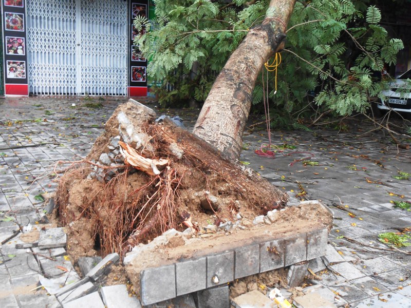 b&atilde;o số 2 (4)