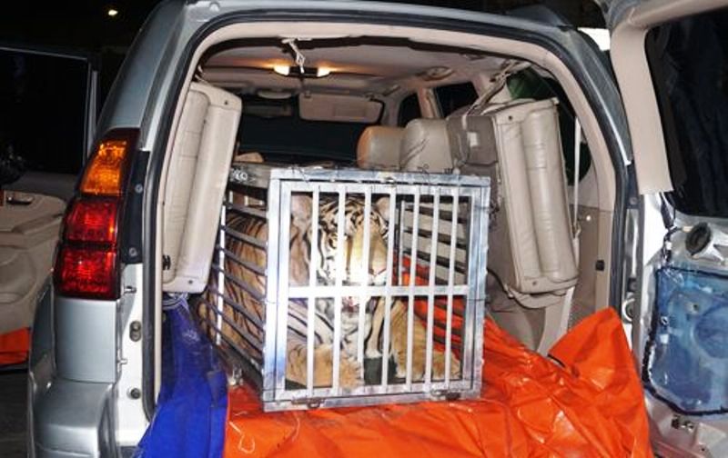 2017110716145023624820