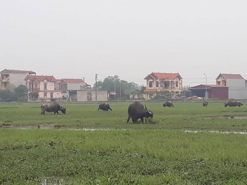 30859231_1662534387134936_356574602_n