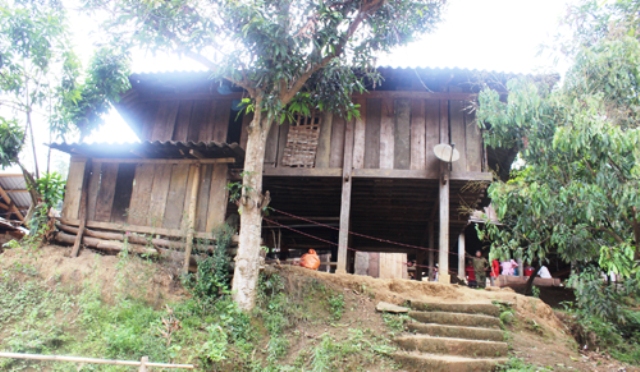 165131_MLat