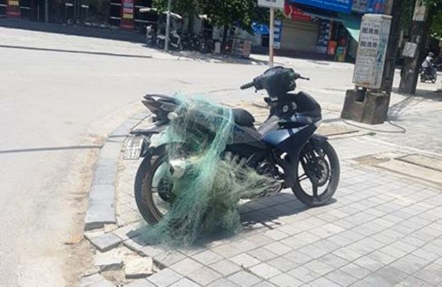 35489554_1907292552628515_4505123554781560832_n