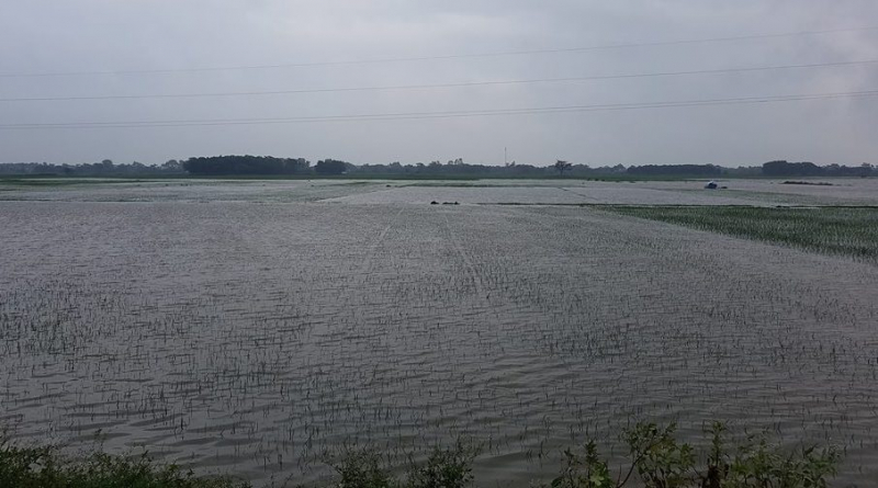 37390752_1952797168078053_844199568902979584_n