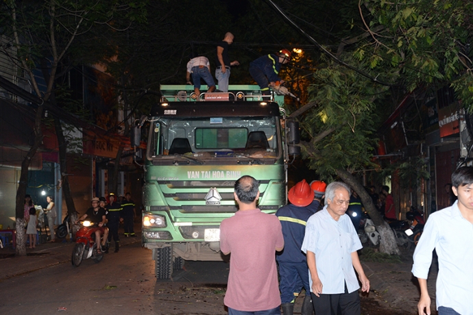 2  C&agrave;nh c&acirc;y bị ch&egrave;n giữa cabin v&agrave; th&ugrave;ng xe kh&ocirc;ng r