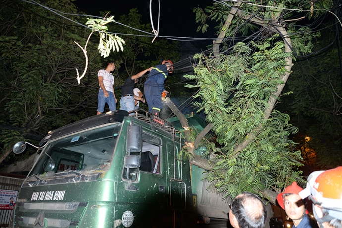 3  Một đoạn c&acirc;y đ&atilde; được cắt ra.