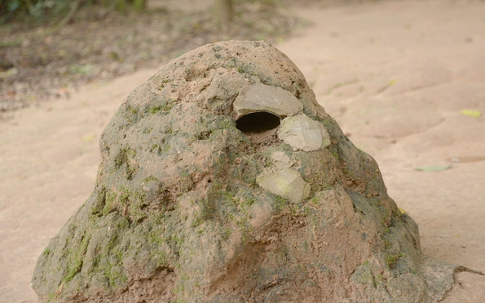 4 Cận cảnh lỗ th&ocirc;ng hơi.