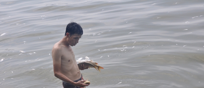 8 Người d&acirc;n xuống hồ vớt những con c&aacute;c mới chết c&ograve;