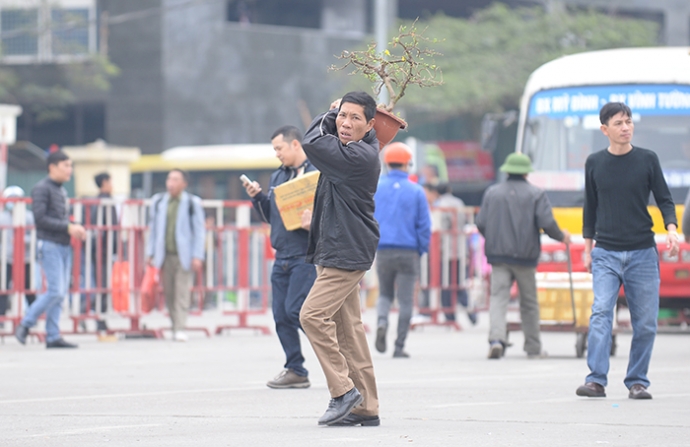 9 C&acirc;y cảnh cũng l&agrave; một trong nững mặt h&agrave;ng m&agrave; ngườ