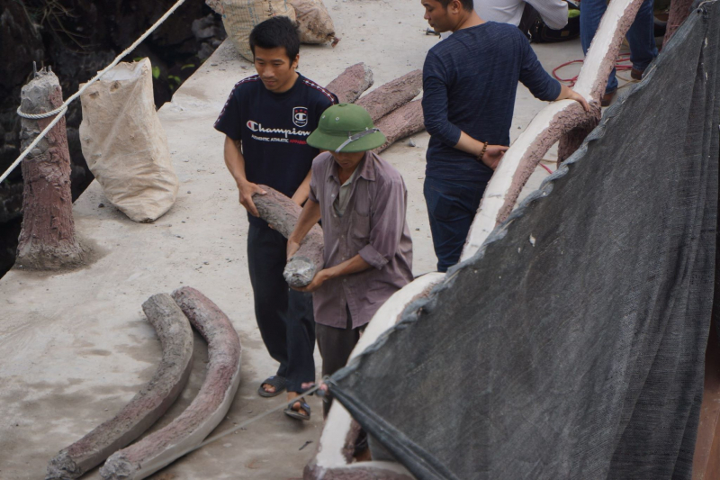 29748054_1588976964554034_163046220_o