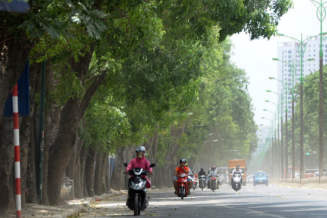 Hang_Cay_Pham_Van_Dong_42