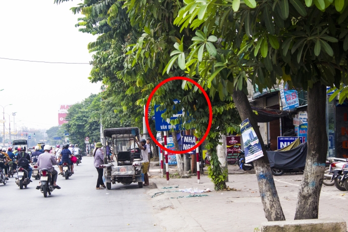 Biển chỉ dẫn lấp l&oacute; sau những t&aacute;n c&acirc;y tr&ecirc;n đường V