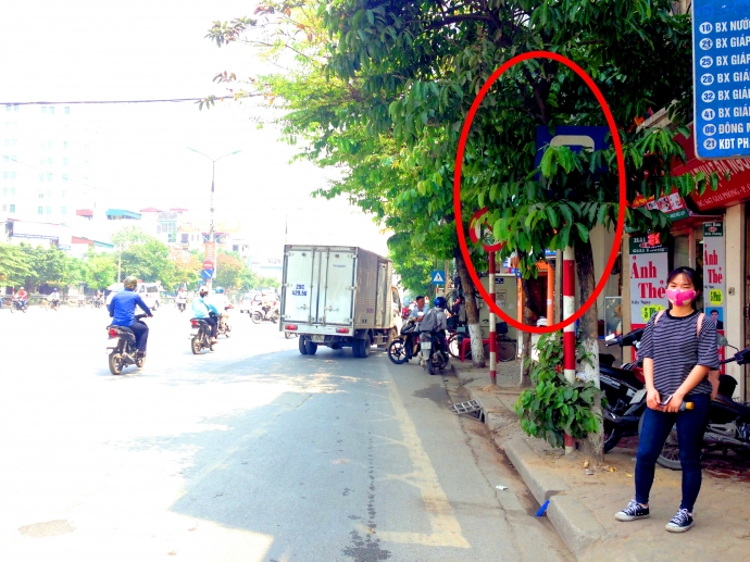 Người đi đường hoang mang v&igrave; biển b&aacute;o ẩn nấp