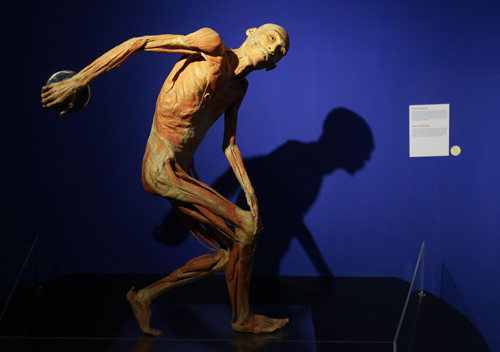 mo-hinh-nguoi-2950-1530768758-4613-1531218130