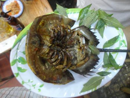 Sam Quảng Y&ecirc;n