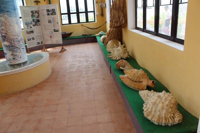 Bảo tàng biển Cù Lao Chàm