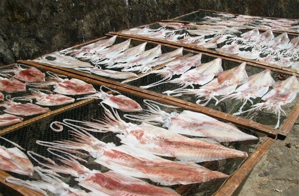 dao-cu-lao-cham-ivivu-12