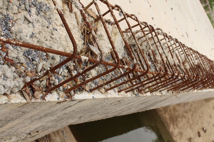 Ảnh 1. Th&agrave;nh Lợi