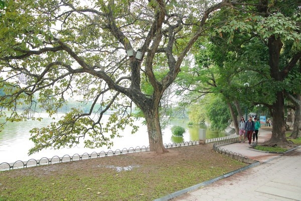 tn288881489293317960-0e14